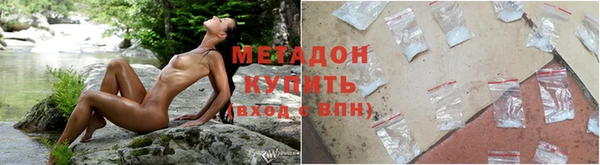 шишки Белоозёрский