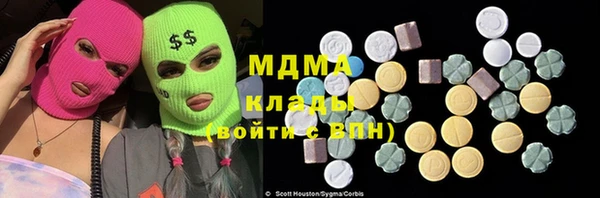 шишки Белоозёрский
