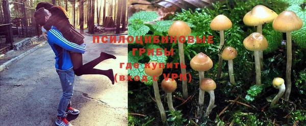 дживик Беломорск