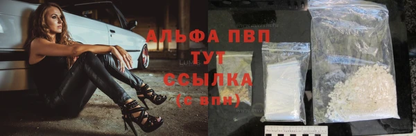дживик Беломорск