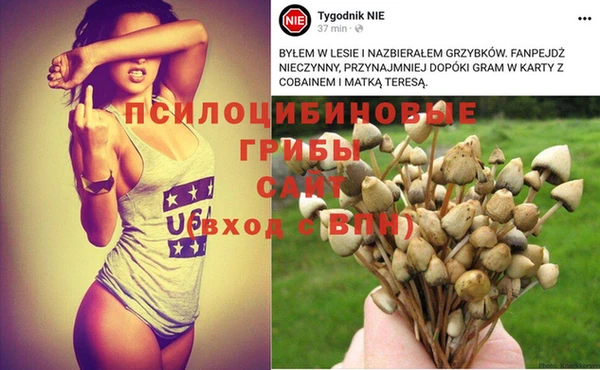 apvp Балахна