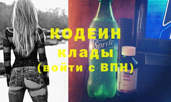 шишки Белоозёрский
