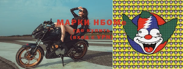 шишки Белоозёрский