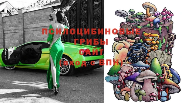 шишки Белоозёрский