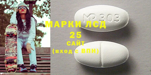 шишки Белоозёрский